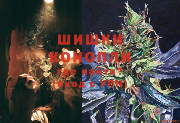 молекула духа Елабуга