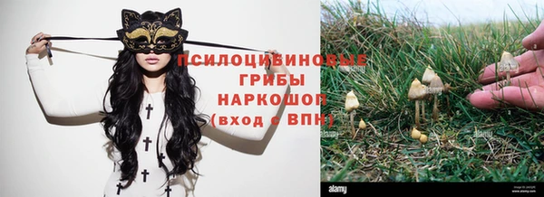 apvp Абдулино