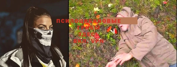 кристаллы Козловка