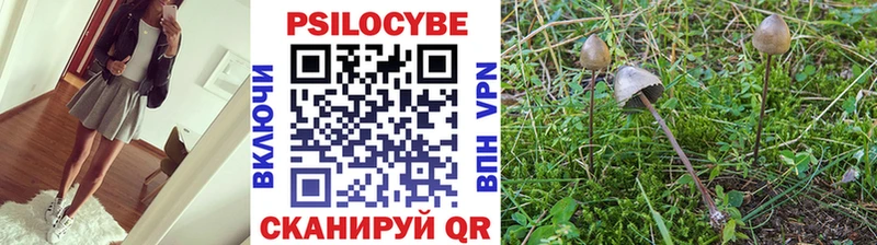 сайты даркнета клад  Мостовской  Галлюциногенные грибы Cubensis 